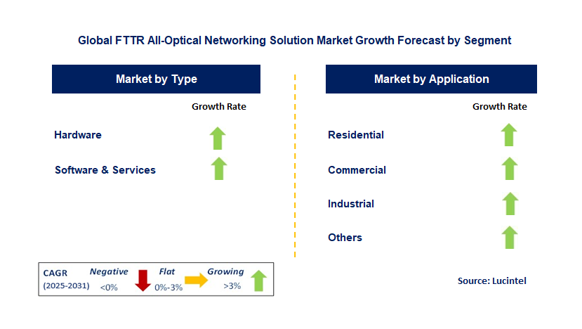 FTTR All-Optical Networking solution Market by Segment